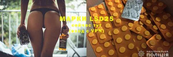 PSILOCYBIN Абдулино