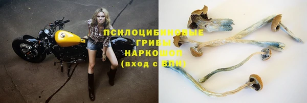 СК Абаза