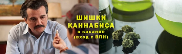 не бодяженный Михайлов