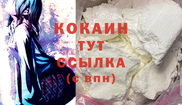 PSILOCYBIN Алагир