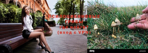 PSILOCYBIN Абдулино